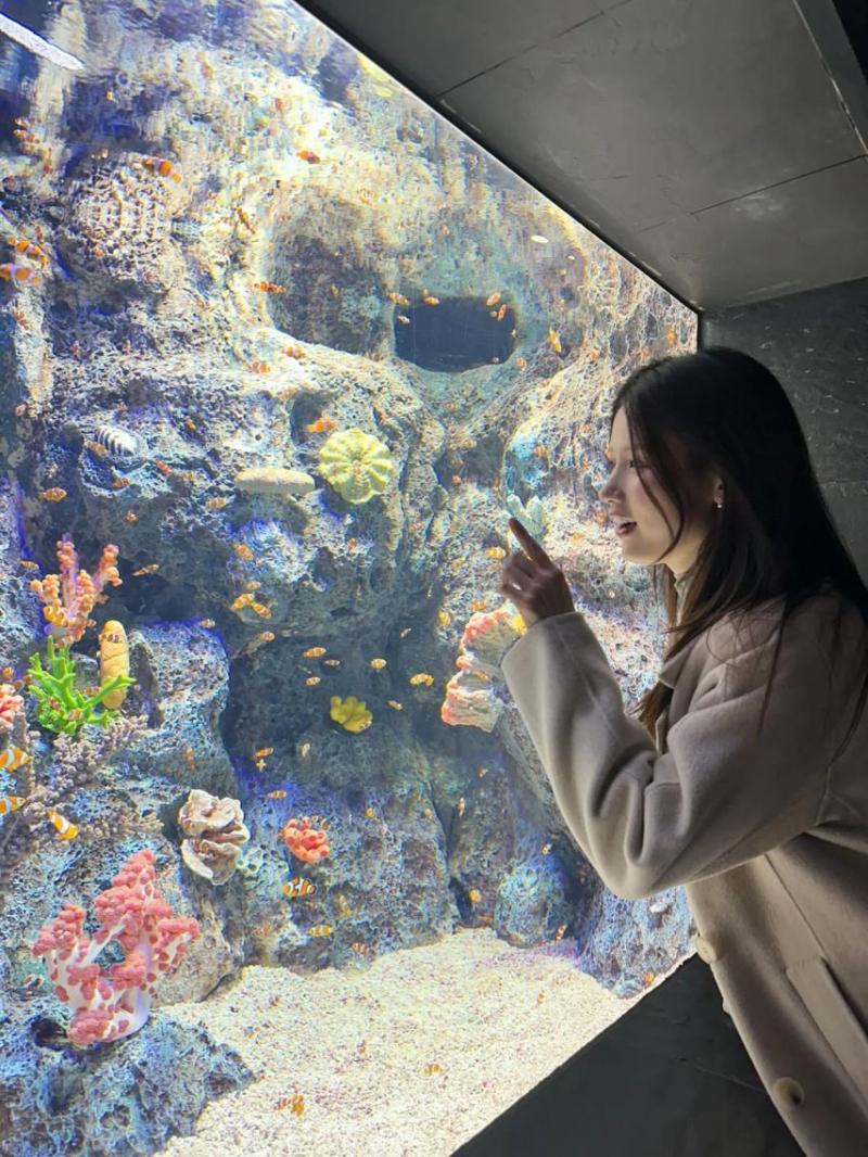 아이칠린 지윤