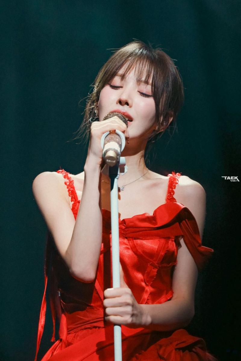 레드벨벳 웬디