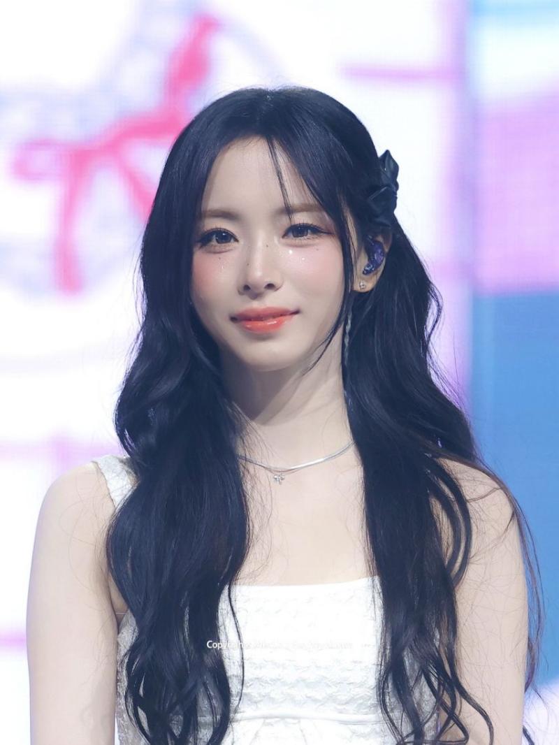 세이마이네임 슈이