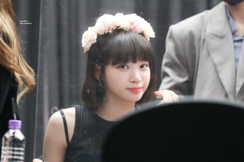 르세라핌 김채원