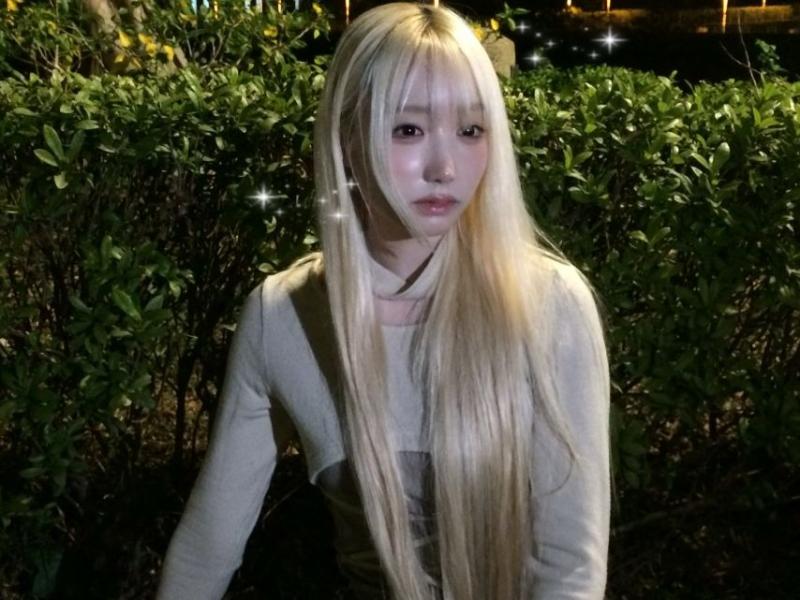 세이마이네임 메이