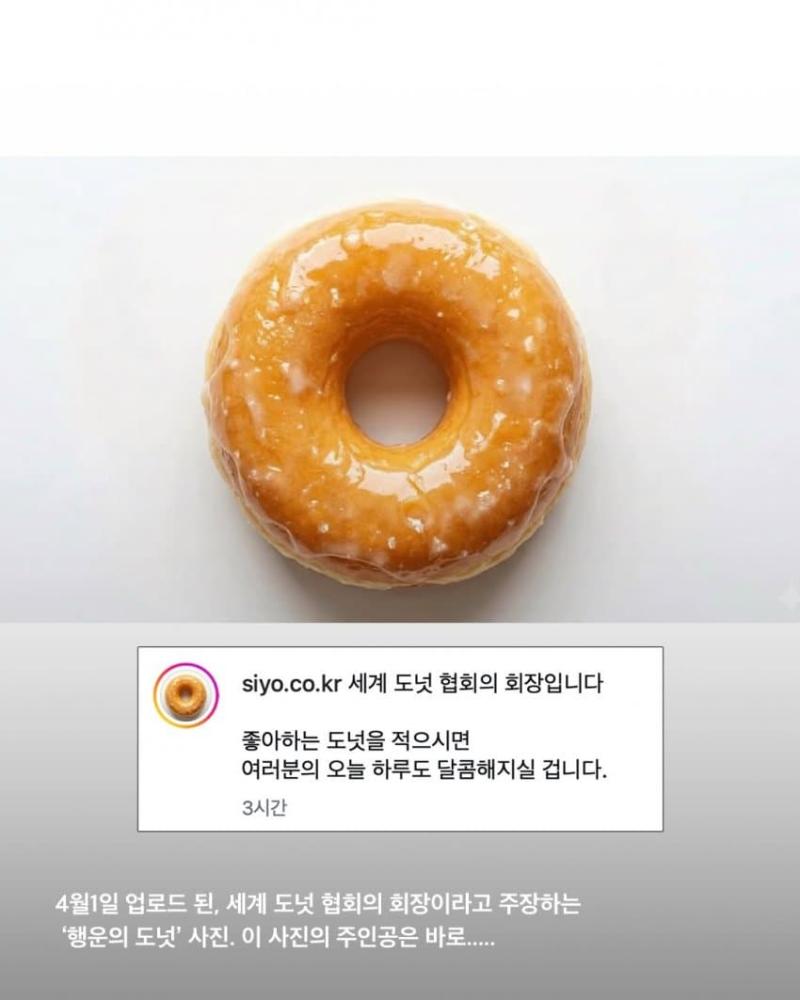 QWER 시연 난 세계 도넛 회장...ㅋㅋ