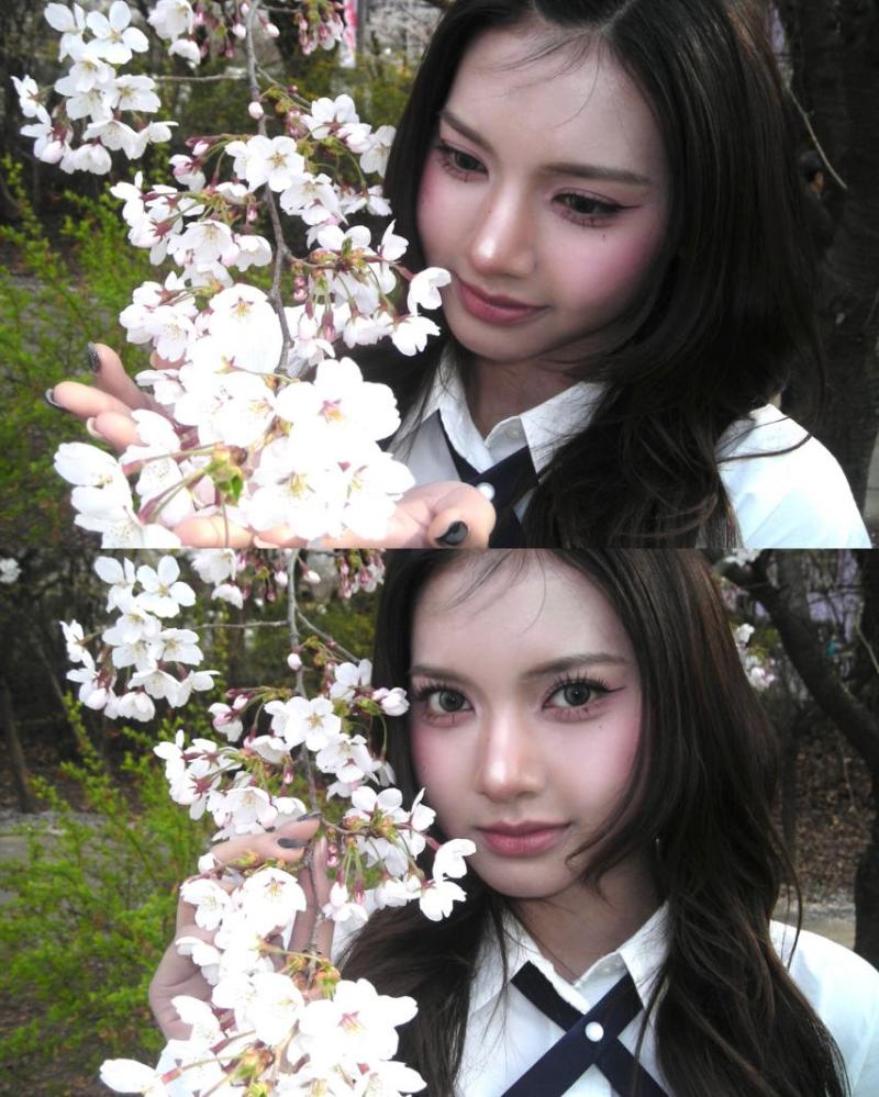 세이마이네임 카니