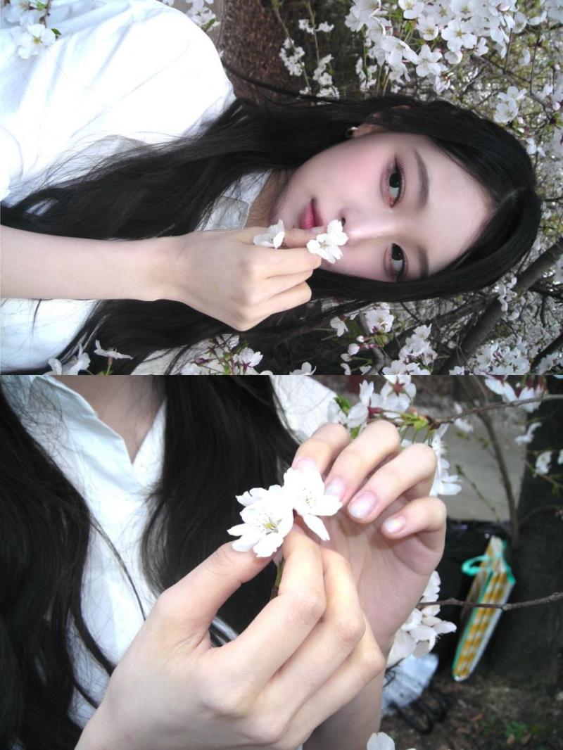 세이마이네임 소하, 슈이