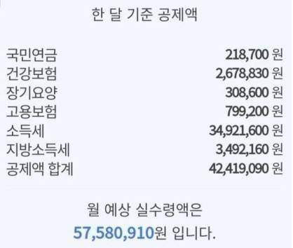 월급 1억 받는 사람의 실수령액