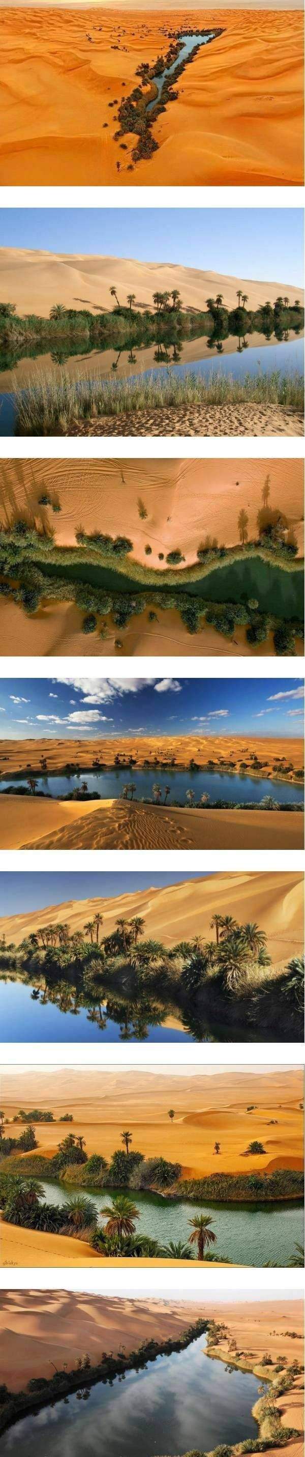 사하라 사막의 실제 오아시스