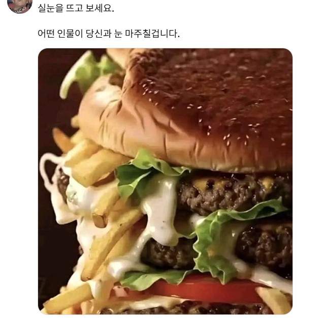 햄버거 짤