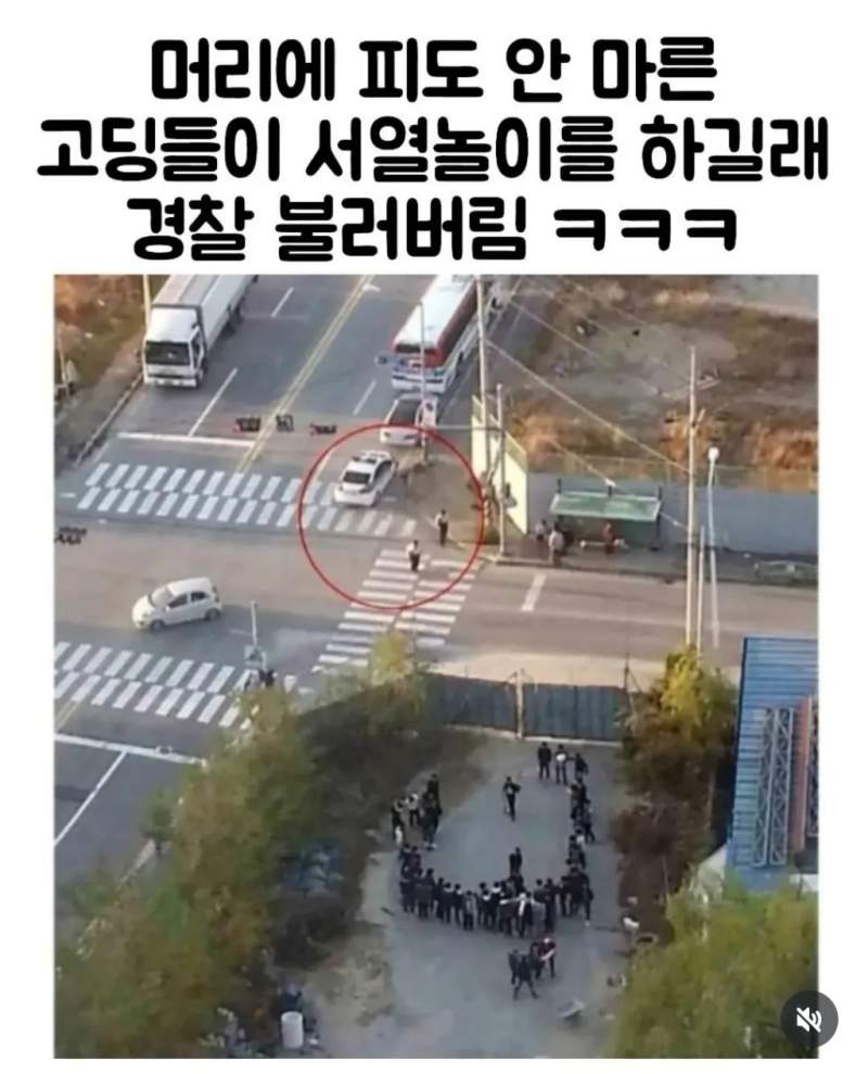 일진고딩들 항공 지원 검거 레전드