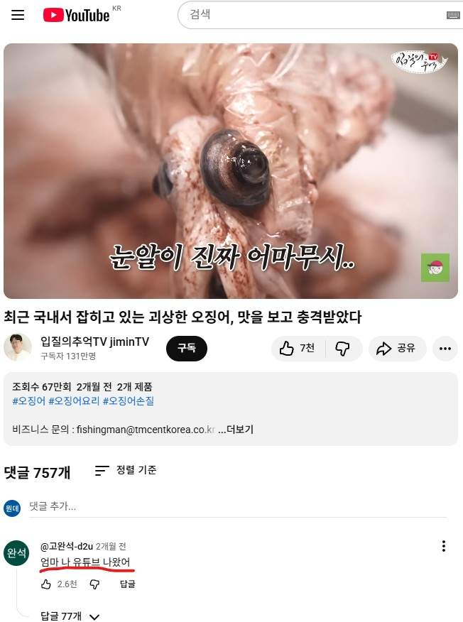 솔직한 유투브 댓글