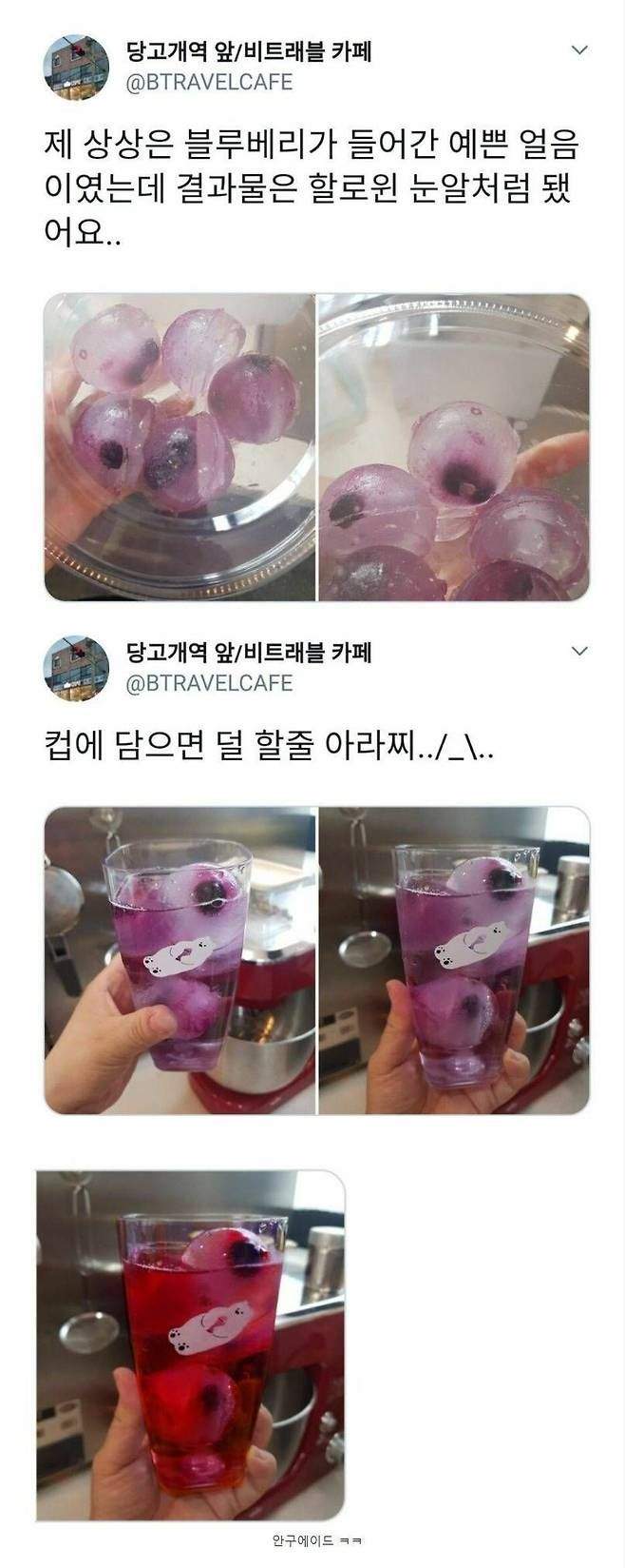 얼음틀에 블루베리 넣으면 안되는 이유