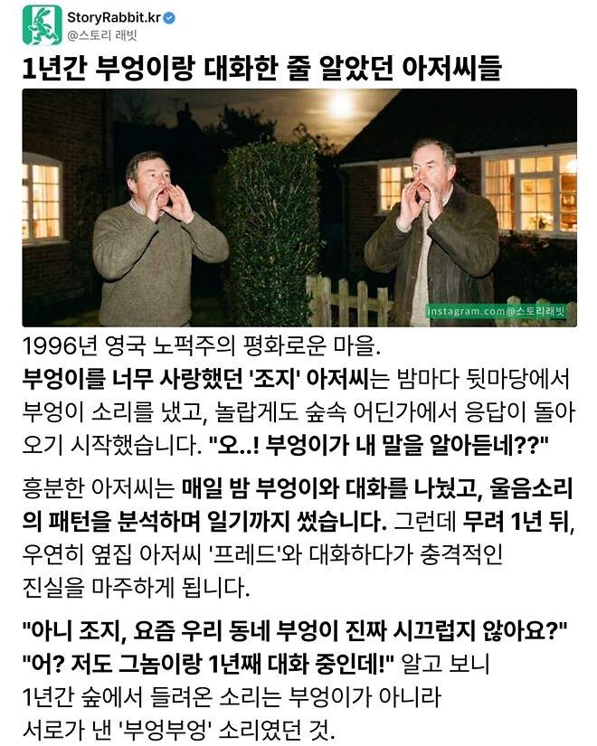 1년간 부엉이랑 대화한 결과