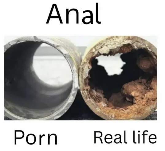 흔한 포르노와 현실의 차이