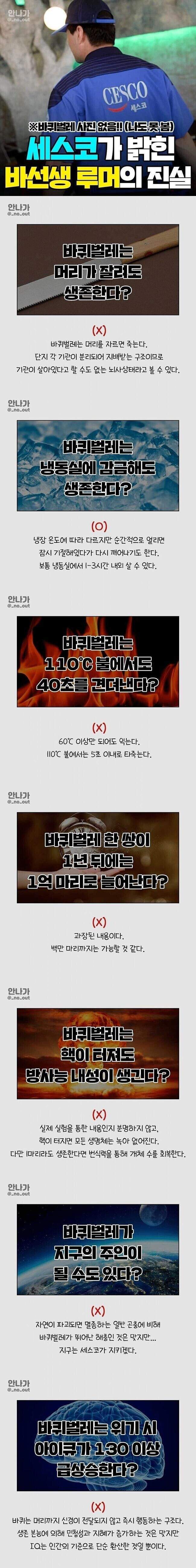 세스코가 밝히는 바선생 루머