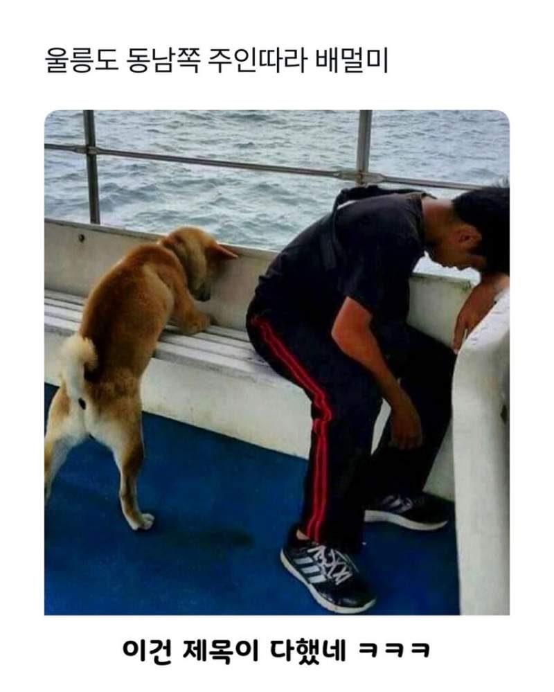 주인 따라 배멀미