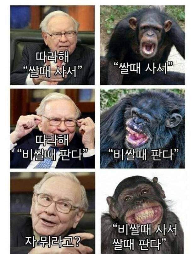 국장 개미들에게 주식하는 법을 알려준 워렌버핏