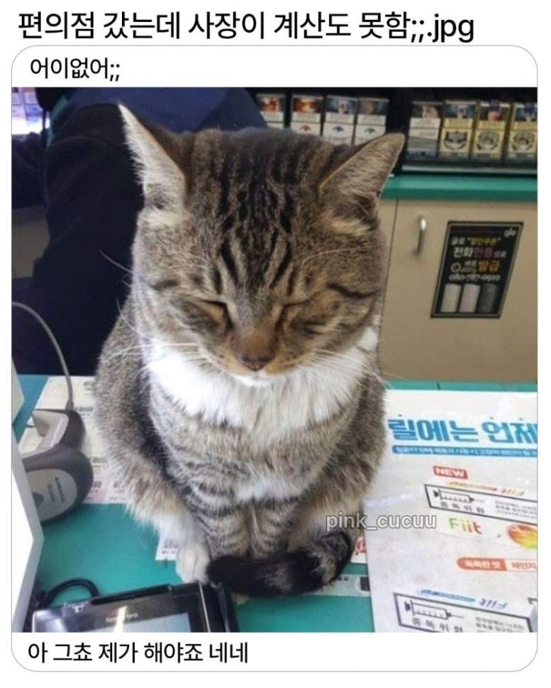 편의점 갔는데 사장이 계산을 못함.jpg