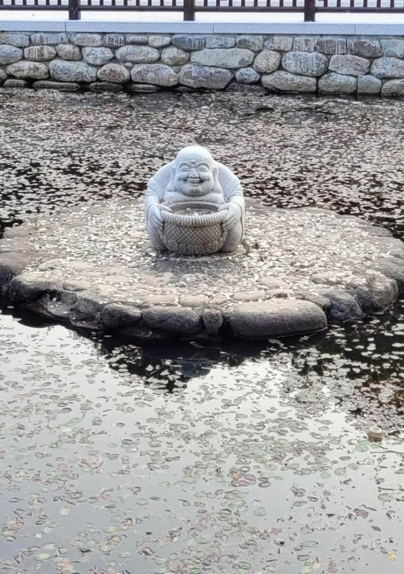 혹시 이거 성공하신분..