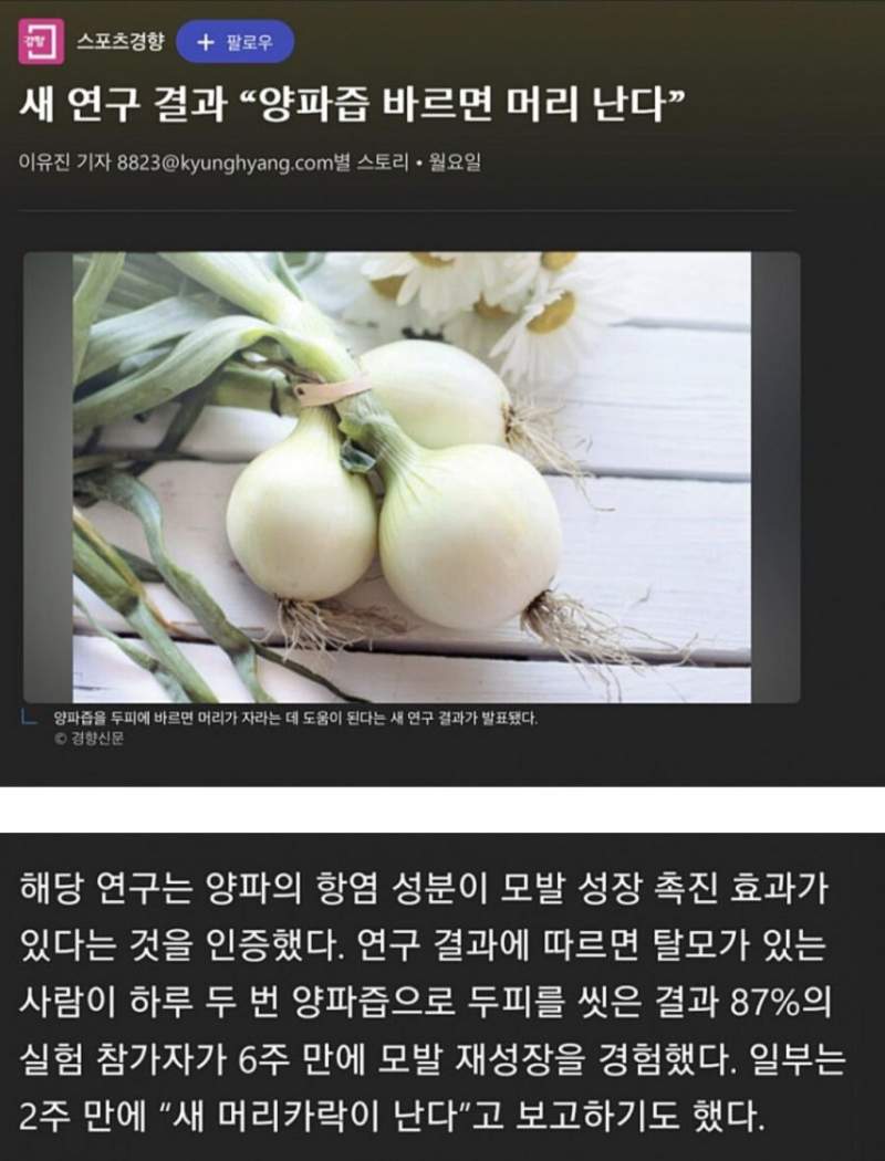 속보)양파즙 바르면 머리난다
