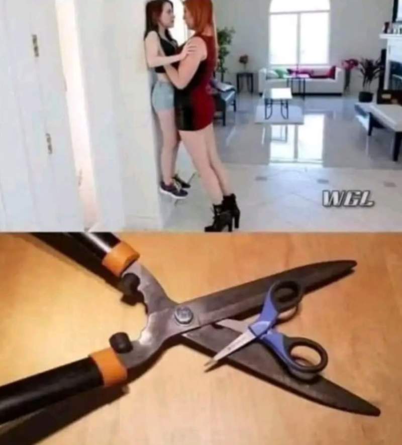 가위와 가위가 만나면