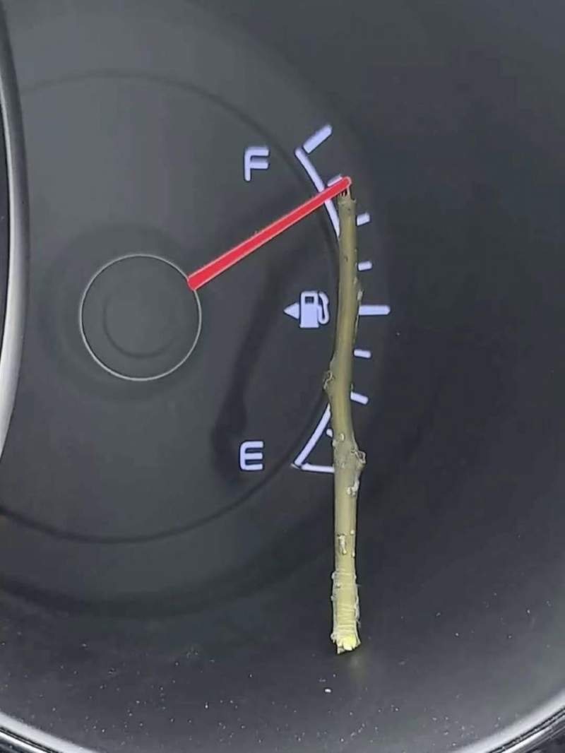 고유가 시대에 자동차 운전자들의 노력