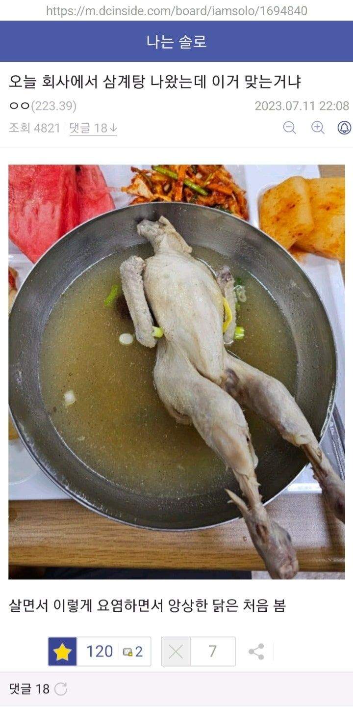 ㅈ소 점심으로 삼계탕 이거맞냐?