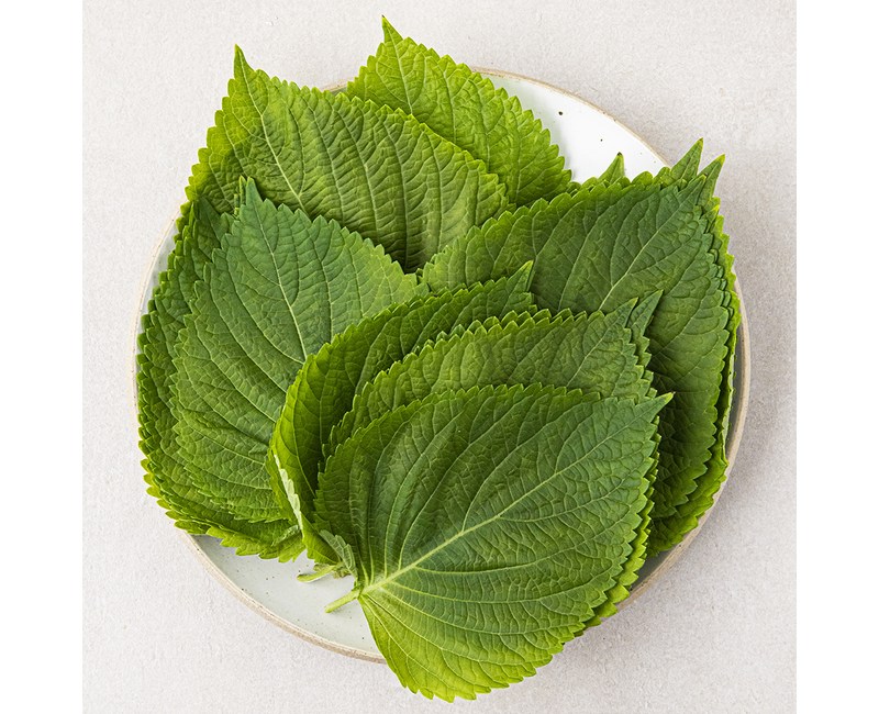 [로켓프레시] 국내산 깻잎