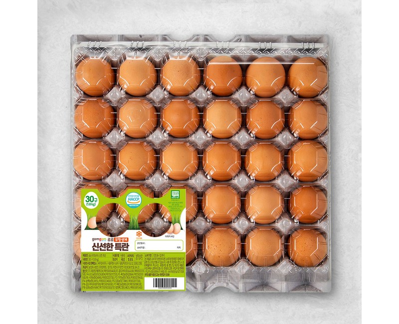 곰곰 무항생제 신선한 특란