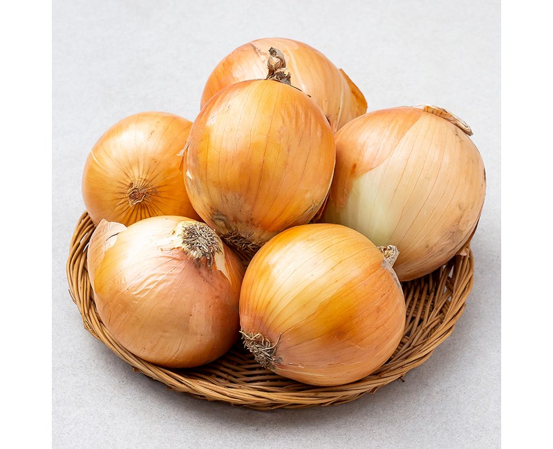 국내산 양파