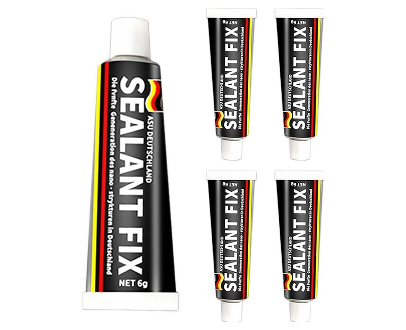 월드크린 실란트 픽스 6g