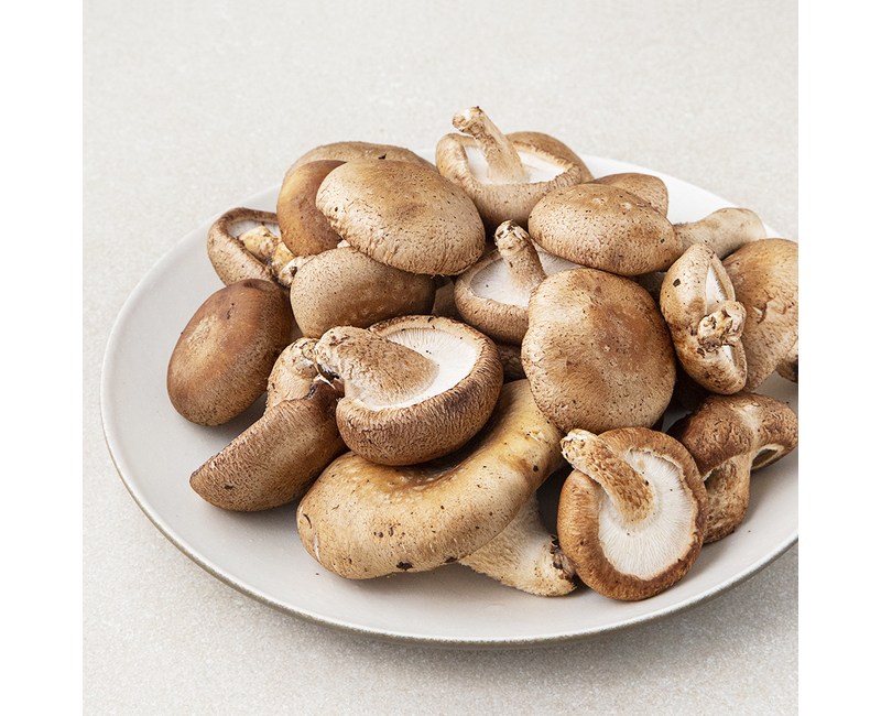 [로켓프레시] 못생겨도 맛있는 표고버섯