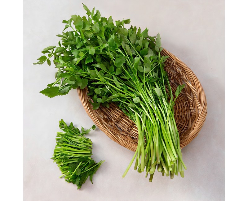 국내산 청도미나리