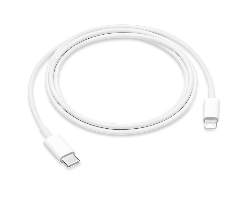 Apple 정품 Lightning-C타입 충전 케이블