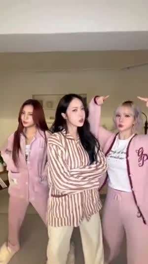 비비지