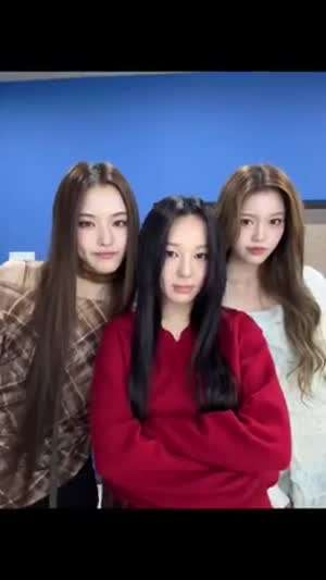 이즈나 마이, 유사랑, 정세비