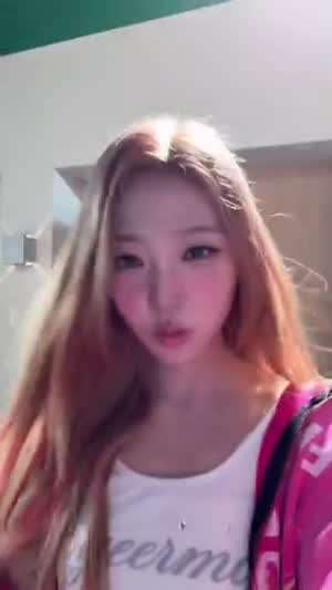 하츠투하츠 스텔라