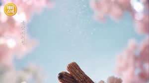 조이 레드벨벳 인별