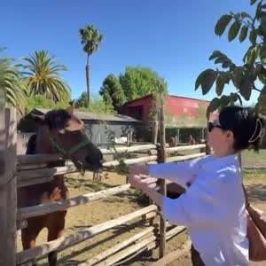 이정현 아나운서