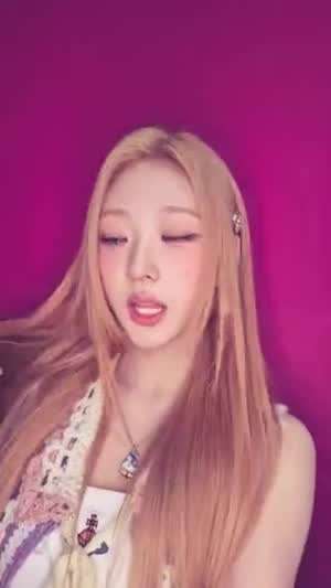 하츠투하츠 스텔라