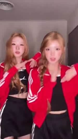 하츠투하츠 유하, 스텔라