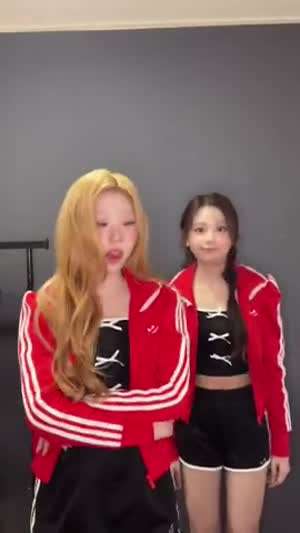 하츠투하츠 카르멘,  스텔라