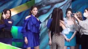 트와이스 쯔위 애견 버터