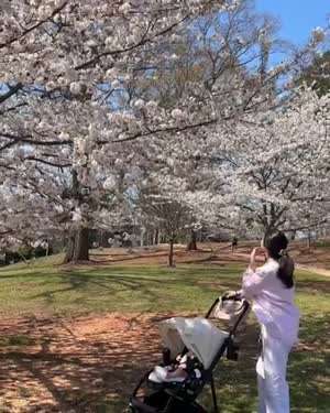 박현실 기상캐스터