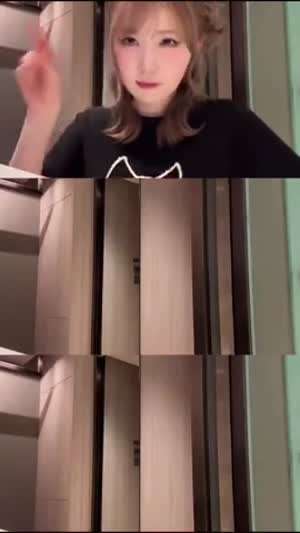 세이마이네임 히토미