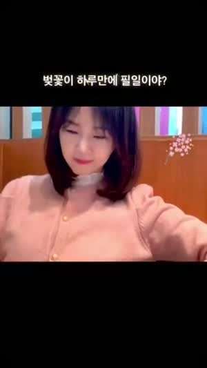 김지형 아나운서