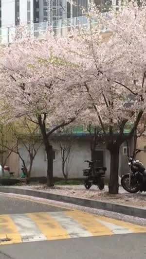 하츠투하츠 주은