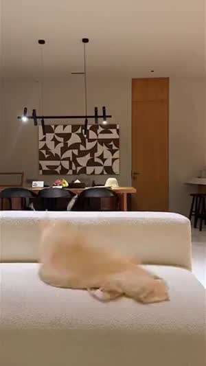 슬기 레드벨벳 릴스&인별