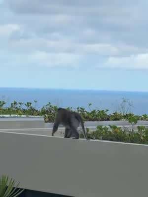 슬기 레드벨벳 인별