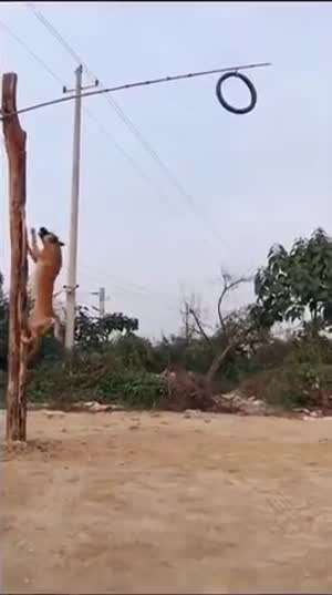 기술이 있어야 하는 이유.mp4