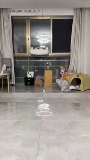 그냥 한번 해보세요