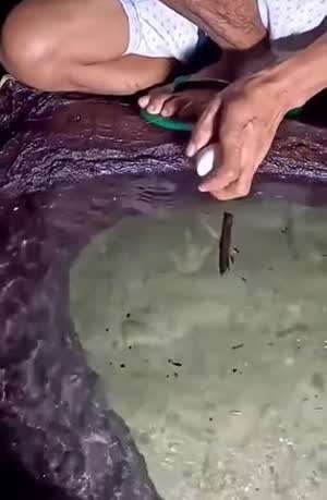 내일부터 게시판 개판 될 듯